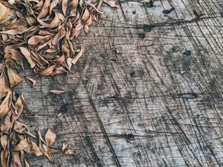 Dried leaves  background 