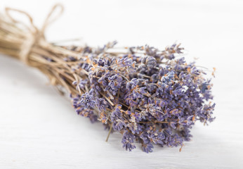 Lavender flowers on white background.