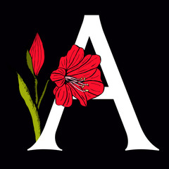 Letter A with Amaryllis Flower