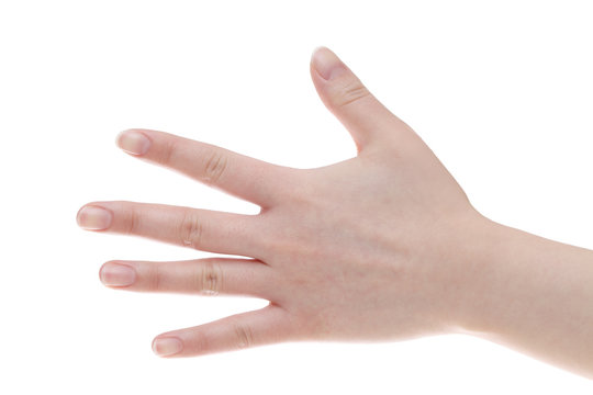 手の甲 画像 参照 10 091 Stock 写真 ベクターおよびビデオ Adobe Stock 手の甲 画像 参照 10 091 Stock 写真 ベクターおよびビデオ Adobe Stock