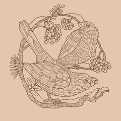Birds and rowan color vector illustration