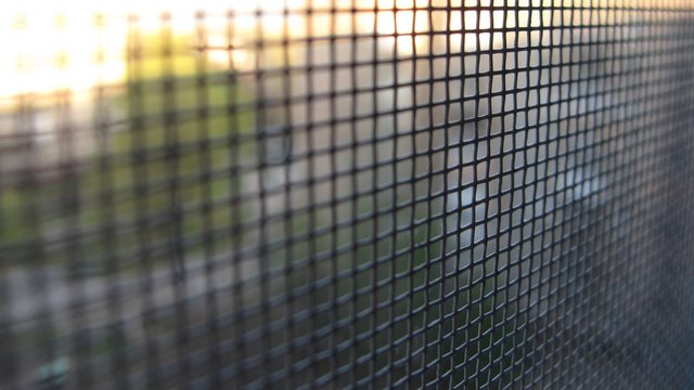 Mosquito Grid screen texture on the window