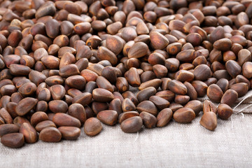 Pine nuts in the shell