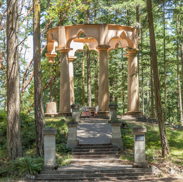 Columns in the woods
