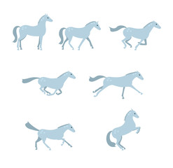 Set with gray horse run, stay and steps. Horse in different poses.