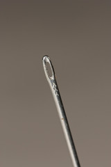 Needle. Macro.