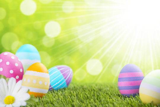Decorated Easter eggs in the grass with a green background