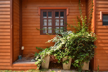 Fototapeta na wymiar Colorful wooden house in garden