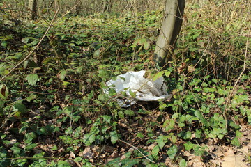 pollution of nature, ecology