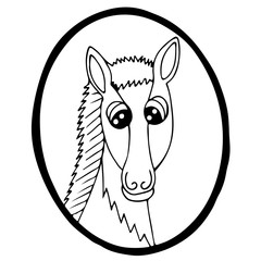 Cartoon head horse in frame