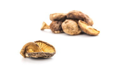 Dried shiitake mushroom on white background.