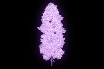 Fototapeta premium Tree Plant in Wireframe Hologram Style. Nice 3D Rendering 