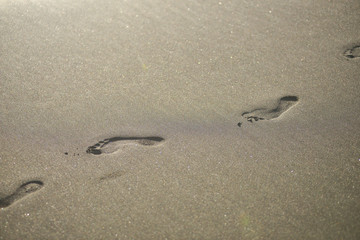 Foot prints in the sand on the beach
