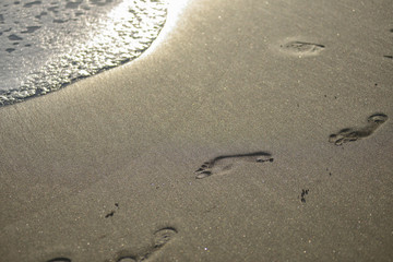 Foot prints in the sand on the beach
