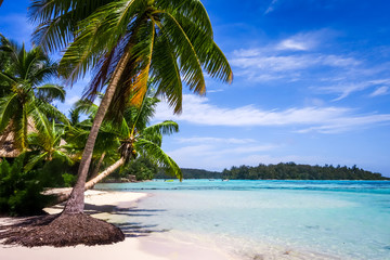 Obraz premium Paradise tropical beach and lagoon in Moorea Island