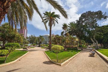 Fototapeta premium Doramas Park in Las Palmas de Gran Canaria, Spain 