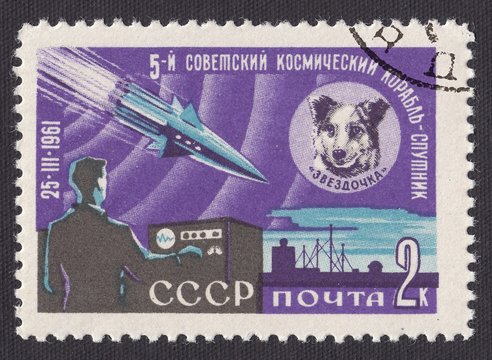 V Soviet Space Satellite.The Dog Zvezdochka On A Spaceship. Postage Stamp USSR 1961