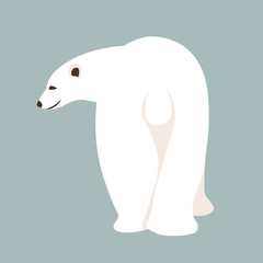 bear polar vector illustration style Flat
