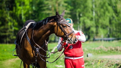 Obraz premium Лошадь