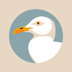 seagull bird  head vector illustration style Flat  