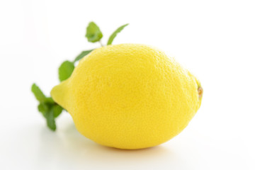 新鮮なレモン