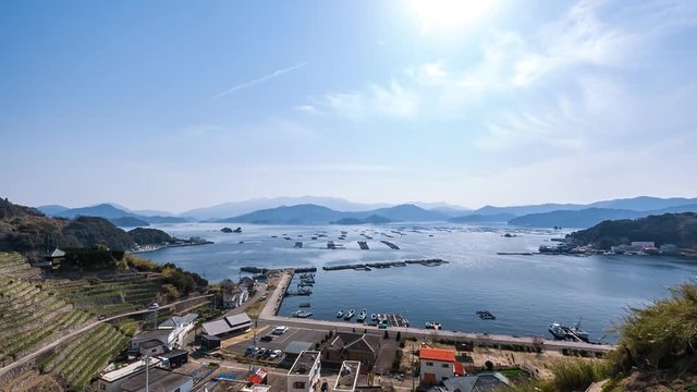 遊子水荷浦の段畑
