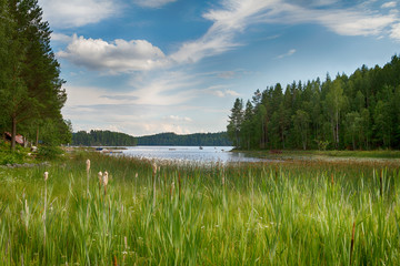 See mit Schilfgürtel im Vordergrund