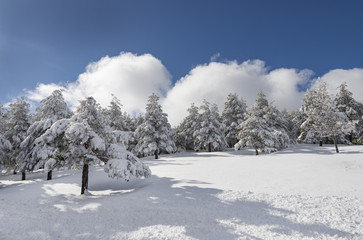 Los Filabres Mountain Range Covered in Snow, near Seron, Almeria Province, Andalusia, Spain