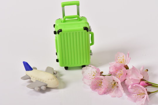 桜とキャリーケースと飛行機の玩具