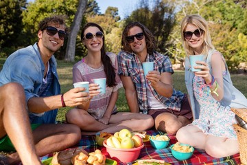 Friends having picnic in park