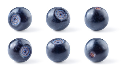 Blueberry. Bilberry. Berries isolated on white background. Collection. With clipping path.