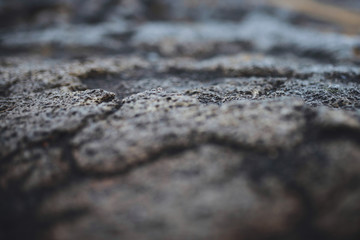 Stone Ground Surface