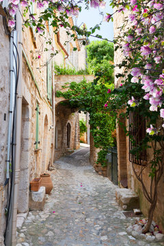 Fototapeta piękne stare miasto kamienne ulicy Prowansji w dzień wiosny, Francja