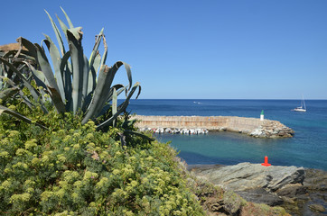Port de Centuri