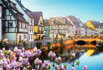 canal of Colmar, most famous town of Alsace at spring day, France
