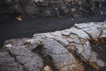 Ground with Dry Grass