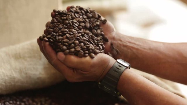 Close up of hands plunging inside coffee beans bag