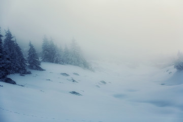 Winter in Karkonosze - Fog, frost nad snow