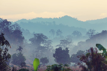 Northern Thailand