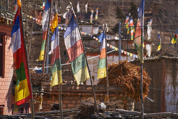 Tibetan colored prayer flags in a rural village in Himalayas, Nepal