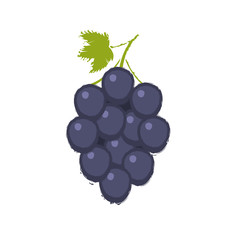 Bunche of grape