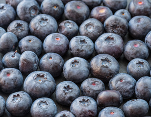 Natural looking blueberries on dark background. Top view. Selective focus in the middle.