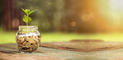 Website banner of golden coins in a glass jar with plant