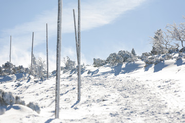 Winter in Karkonosze - Fog, frost nad snow