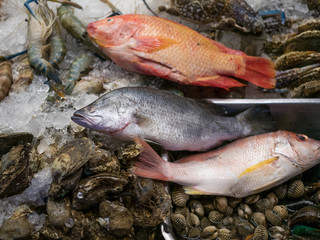 Street shop with red perch