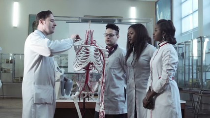 Group of diverse young interns or medical students at an anatomy lecture with a doctor demonstrating the structure of the human skeleton and circulatory system