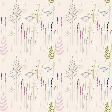 Floral vector seamless pattern with hand drawn  wild flowers, herbs and grasses.Thin delicate lines silhouettes of  fennel, dill, lavender and other plants in pastel colors on beige background 
