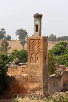 North Africa,Morocco,Capital Rabat. Archaeological site Chellah