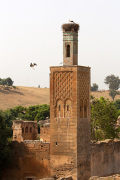 North Africa,Morocco,Capital Rabat. Archaeological site Chellah