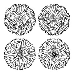 Fototapeta premium Vector decorative floral elements set